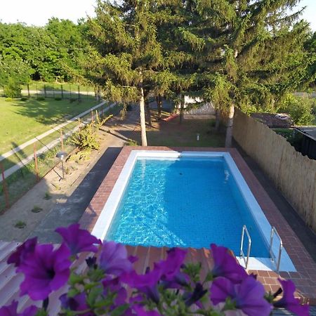 Blue Crystal Apartment Subotica Exterior photo